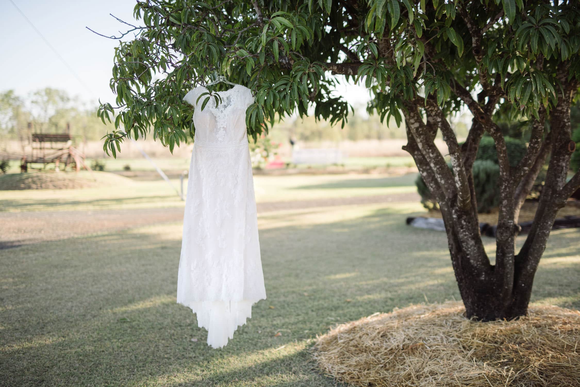 Wedding dress hung from a tree in Emerald in Queensland
