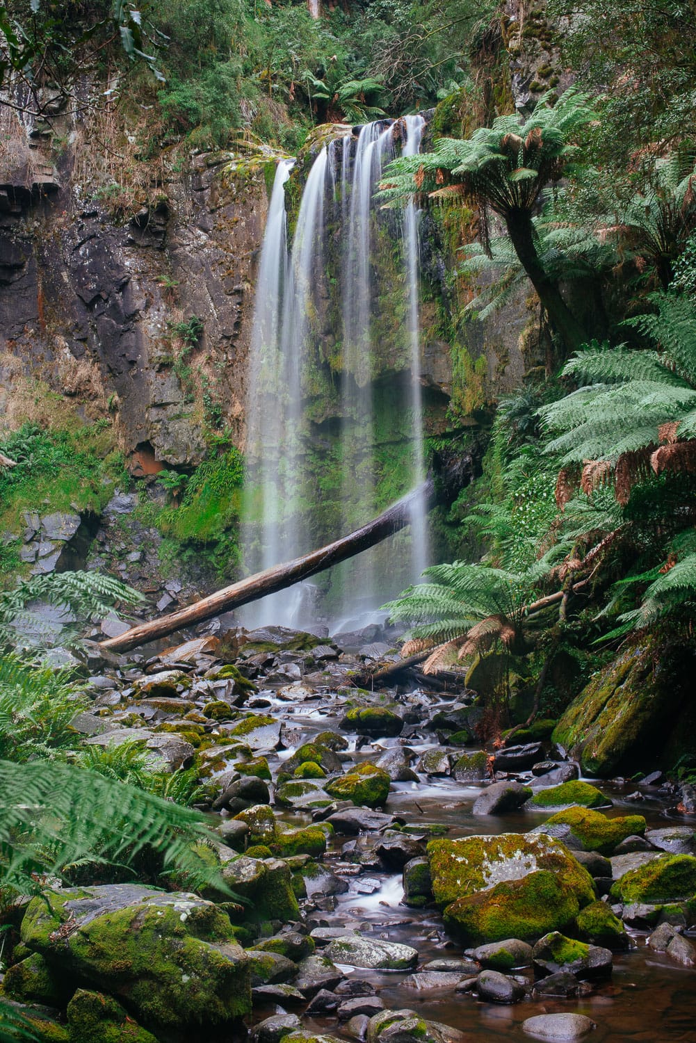 Houpetoun Falls in the Otways