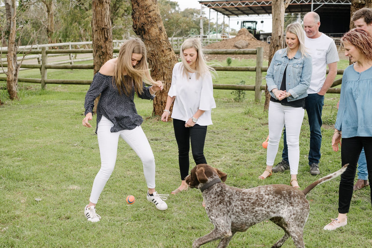 Children play with dog