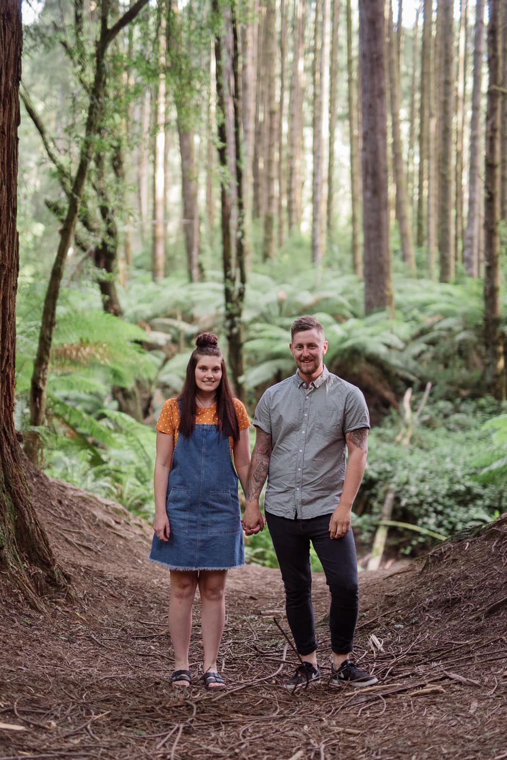 A redwood plantation portrait