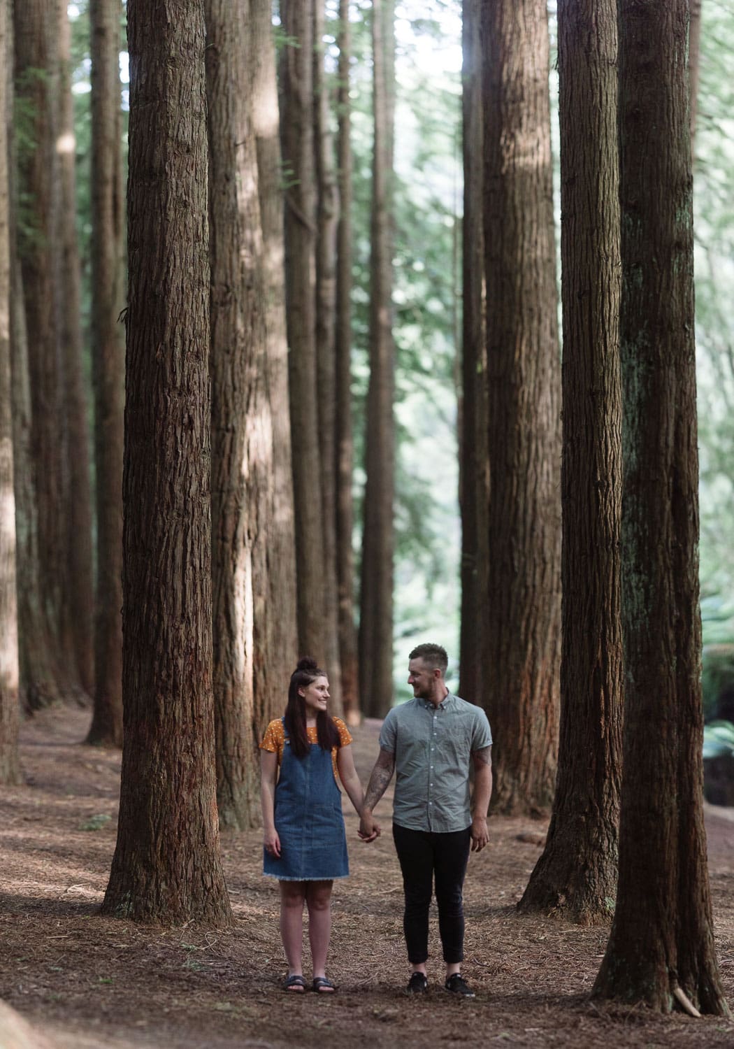 Couple enjoying their Redwoods engagement session