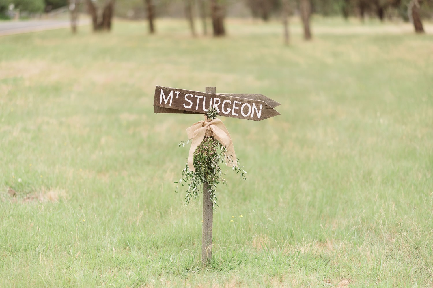 Mount Sturgeon Homestead