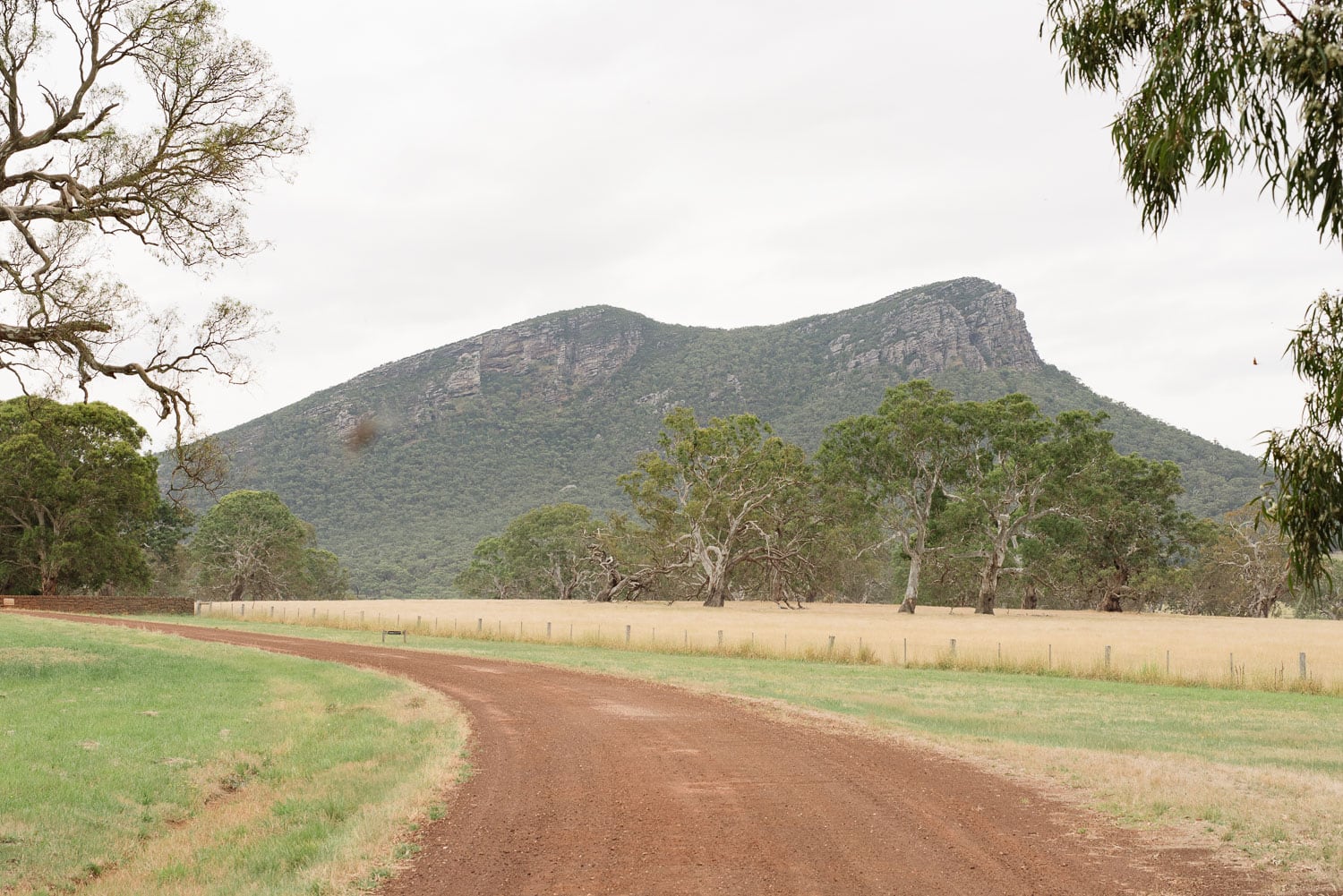 Mount Sturgeon viewed from the Royal Mail Hotel