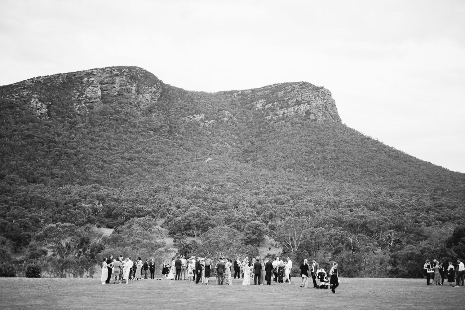 Dunkeld Wedding overlooked by Mt Sturgeon