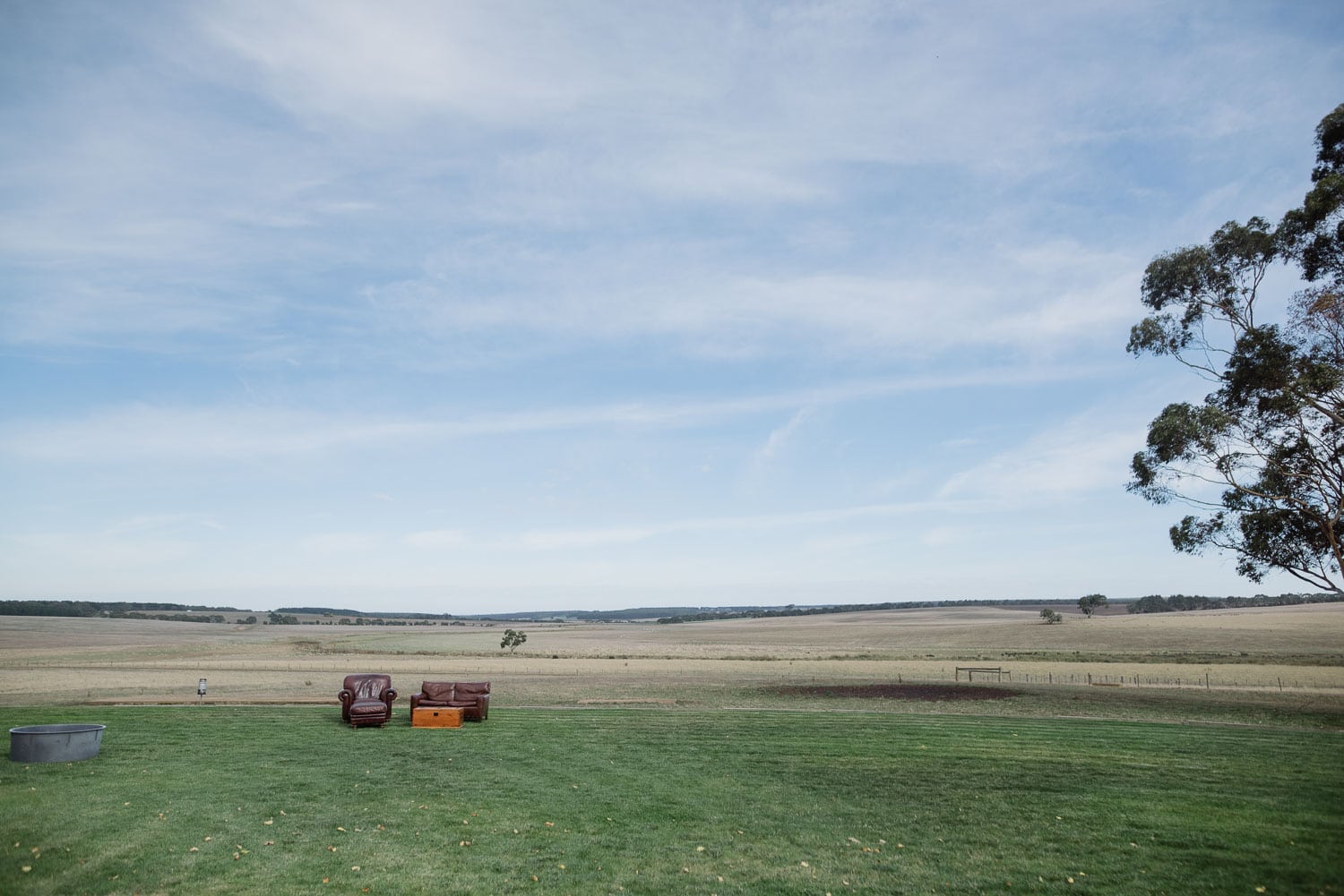 View from bronxholme homestead backyard