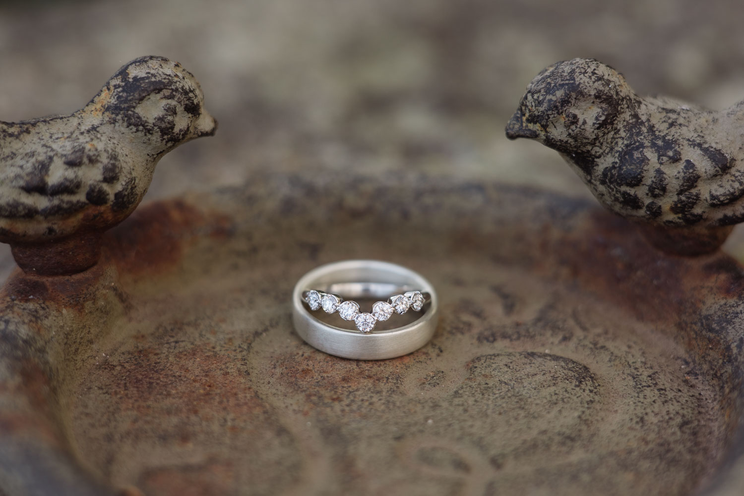 Wedding ring in a birdbath