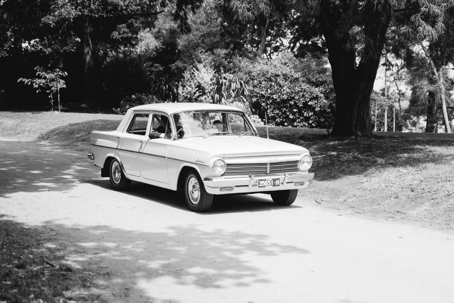 wedding car in colac botanic gardens