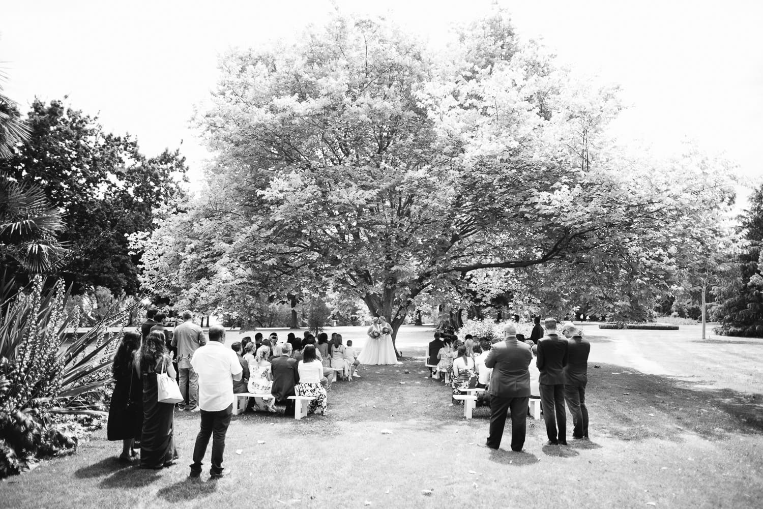 Colac botanic garden wedding