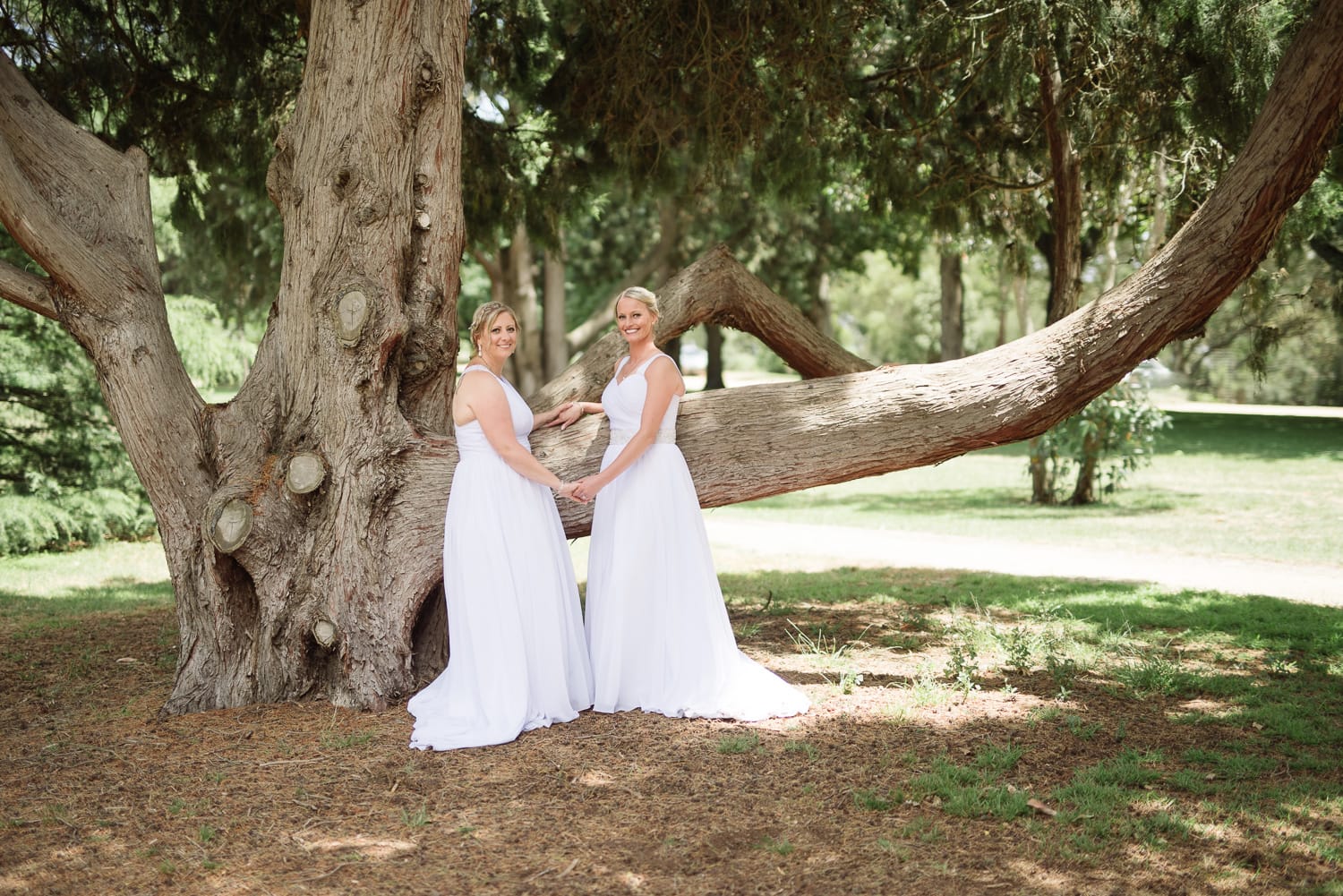 Same sex wedding portraits in colac botanic gardens