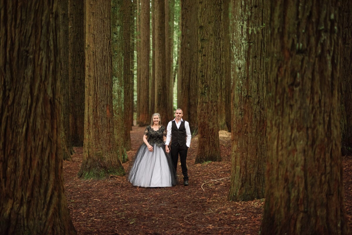 Bride and groom in the Otways Redwoods during their wedding portraits