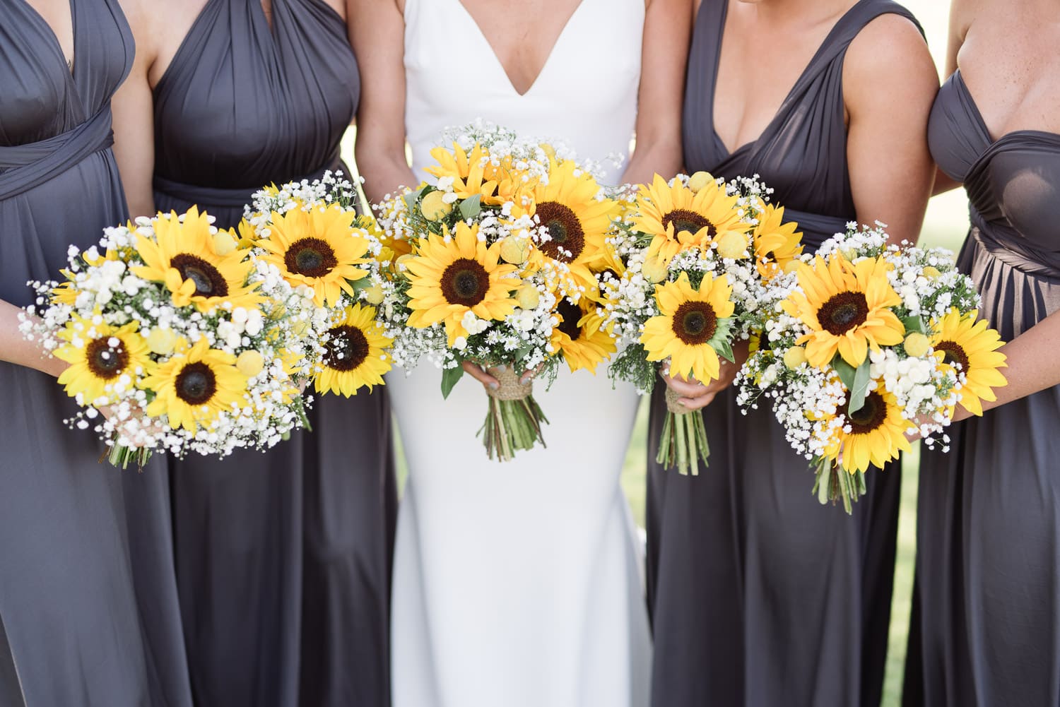 Sunflowers
