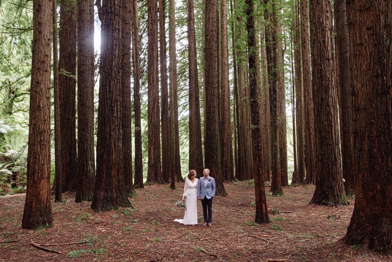 The Otways Redwood Plantation is an amazing spot for a wedding