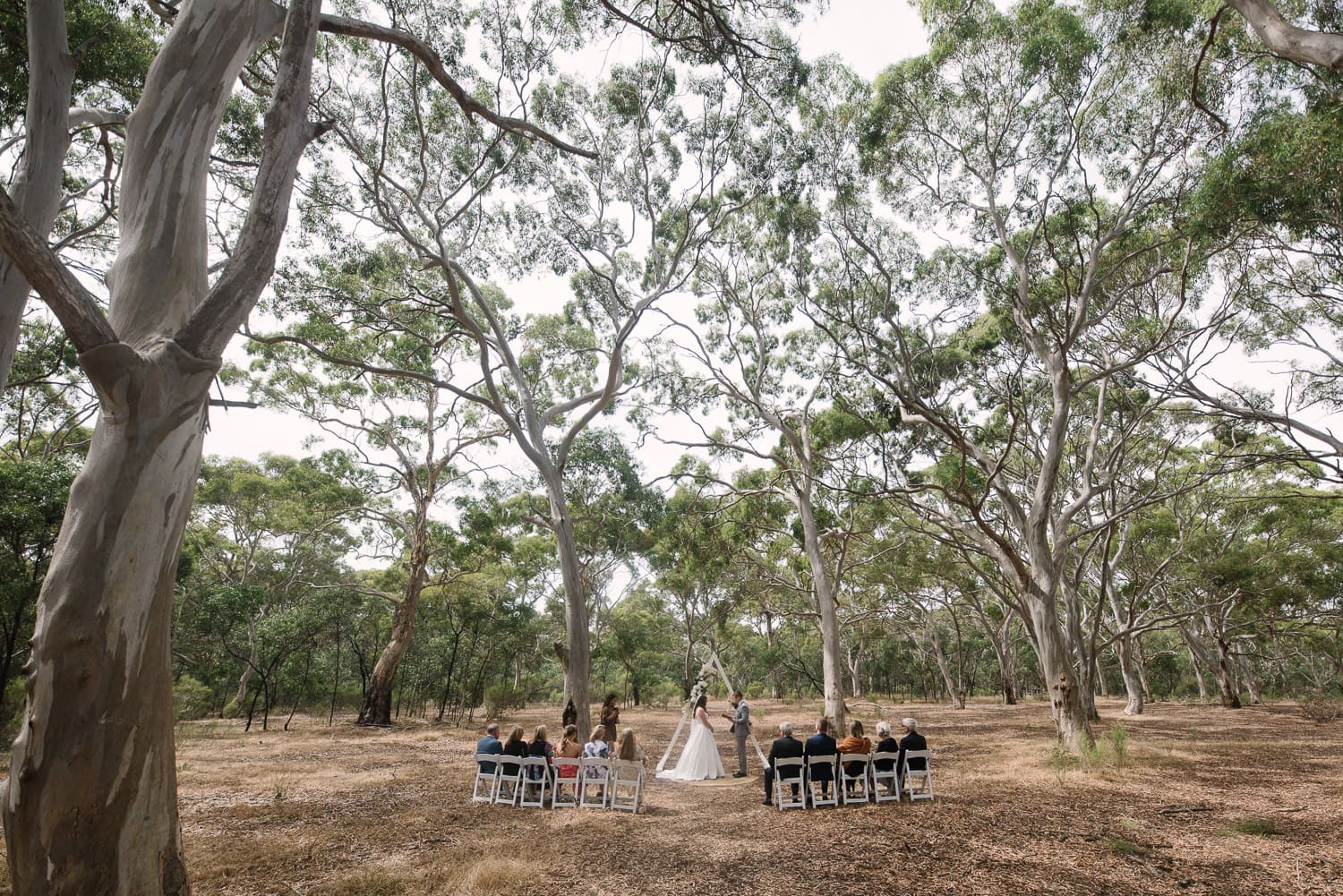 Bannockburn bushland wedding ceremony