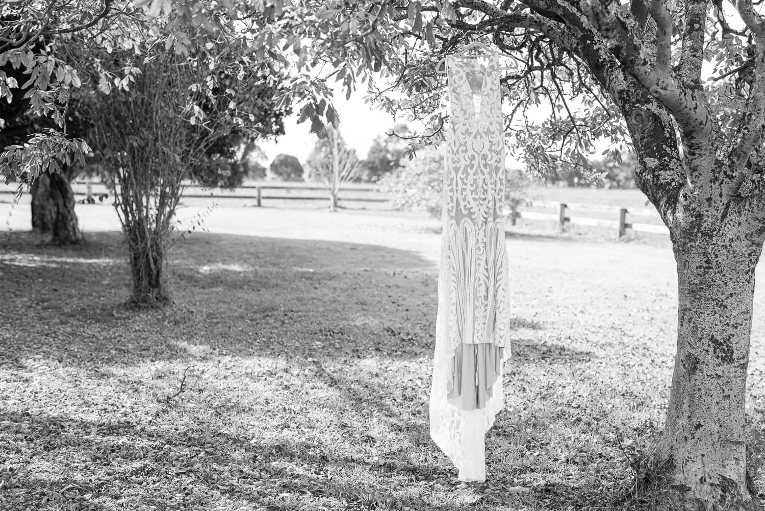 Wedding dress hanging on tree
