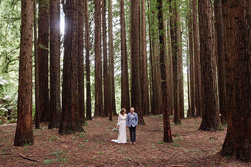 Wedding photo amongst the redwood trees in the Otways national park.