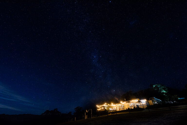 King Parrot Apartments at night