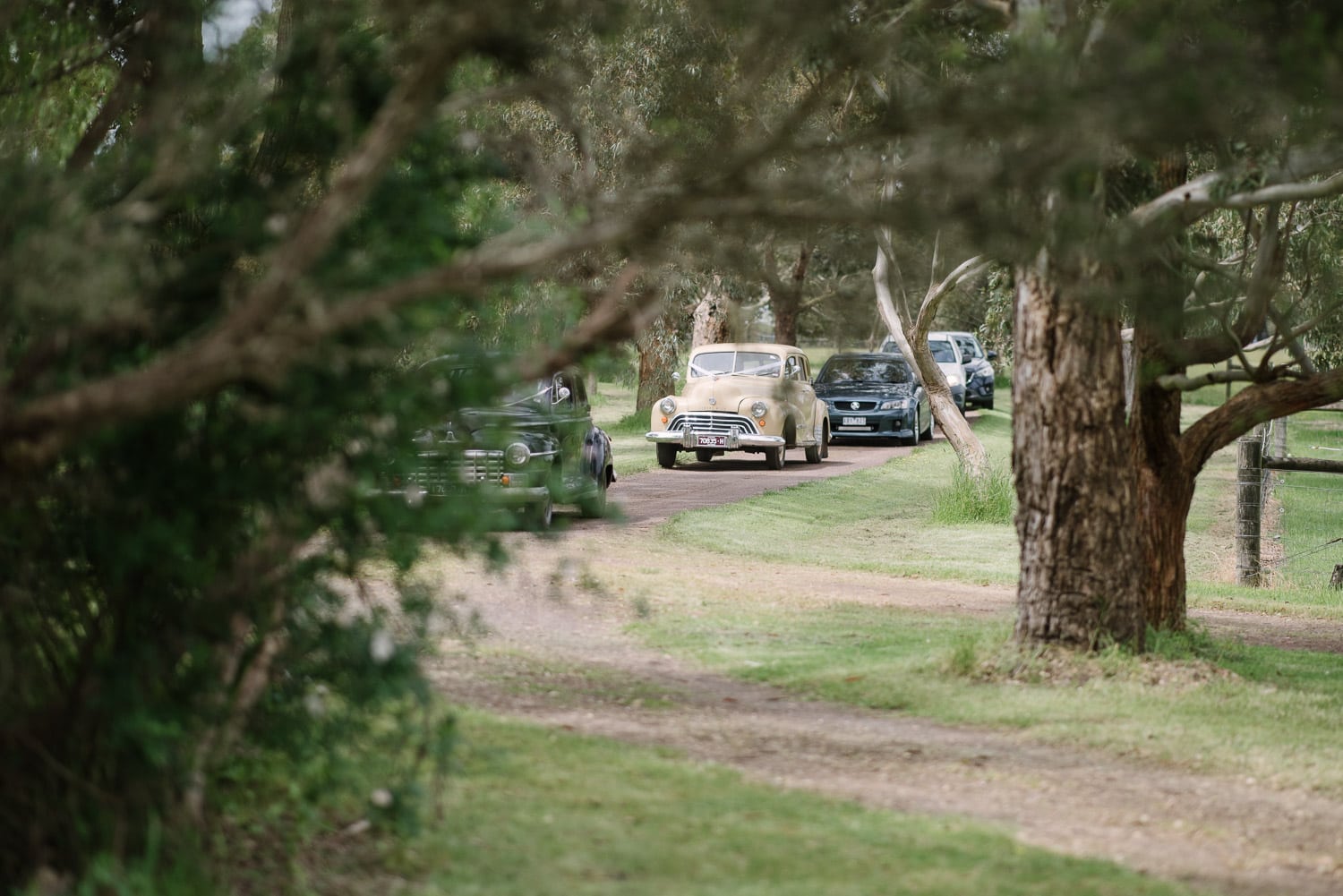 Wedding cars at Quamby Homestead