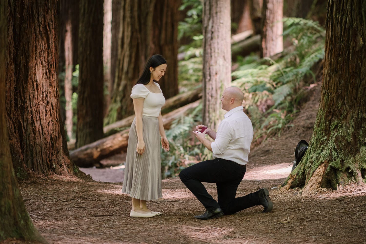 Wedding proposal taking place at the Redwood forest in the Otways national park.