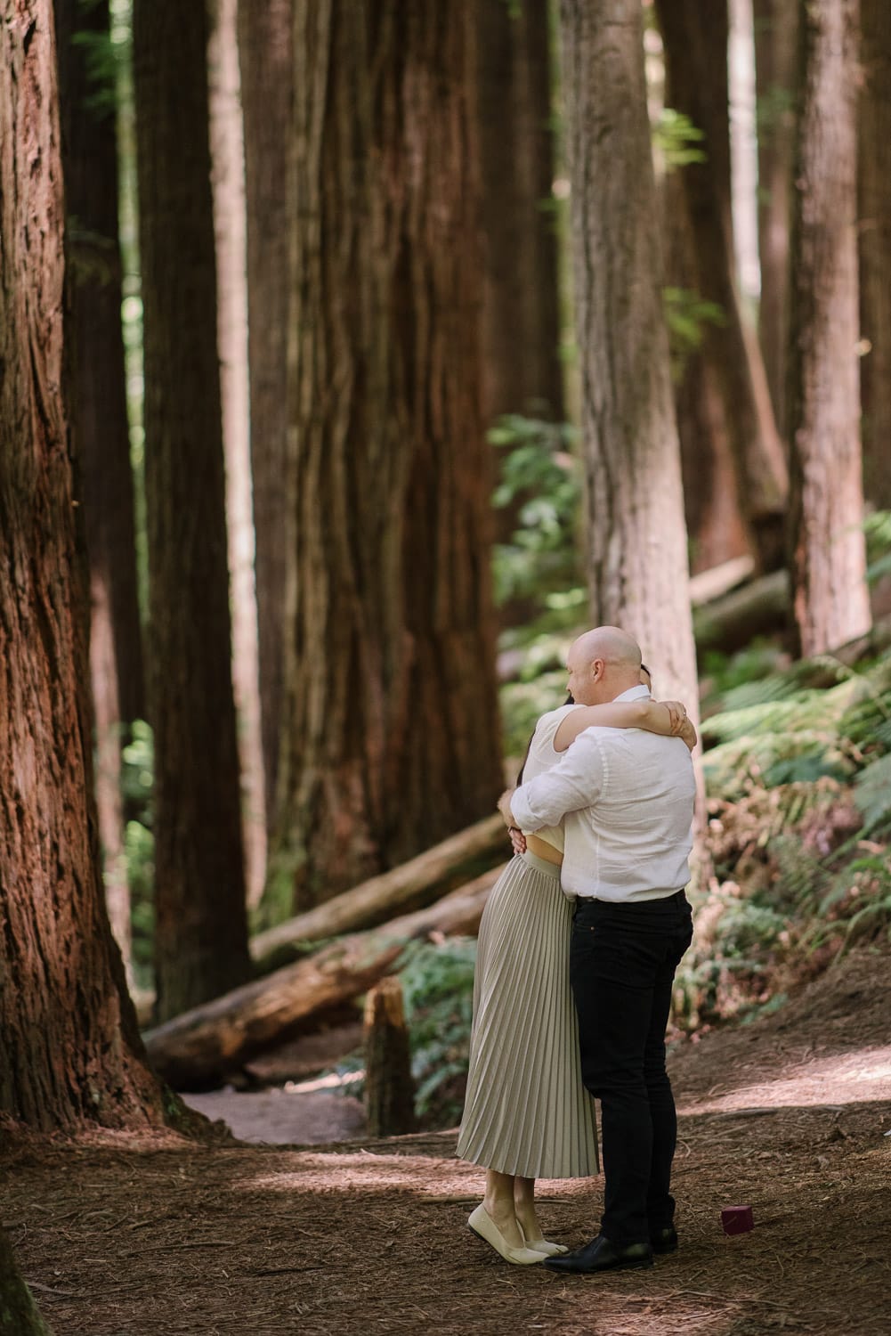 Redwood hugs