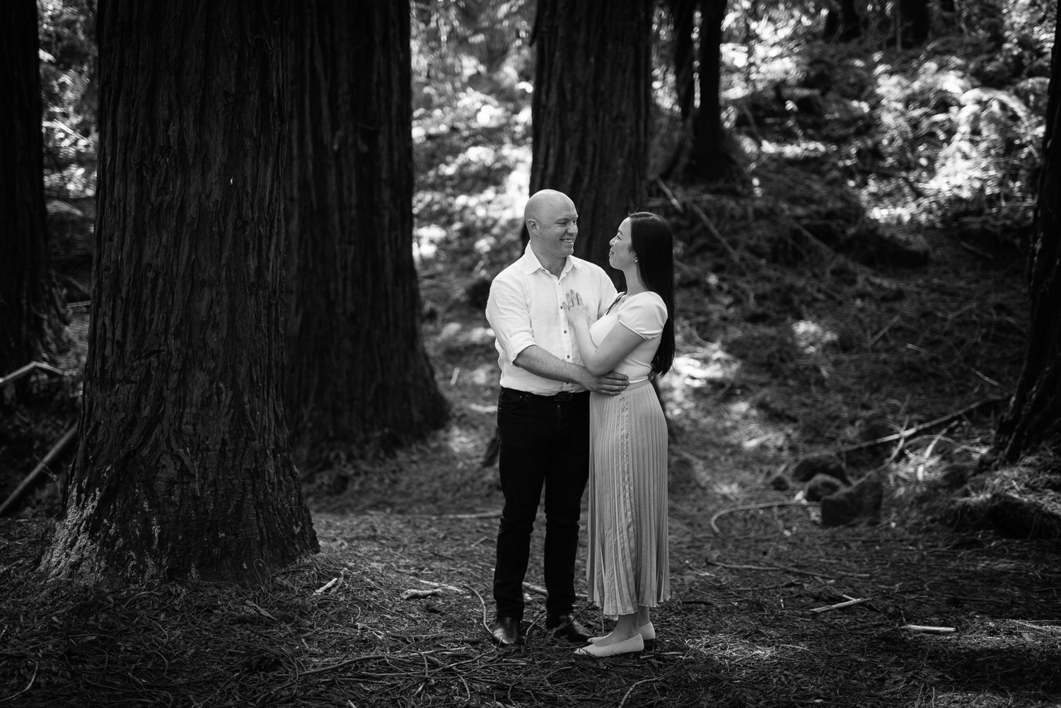 Redwoods portraits in the otways