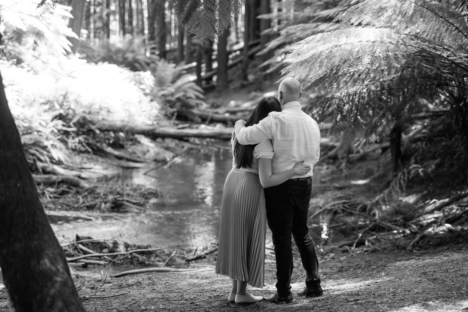 Redwoods engagement photos