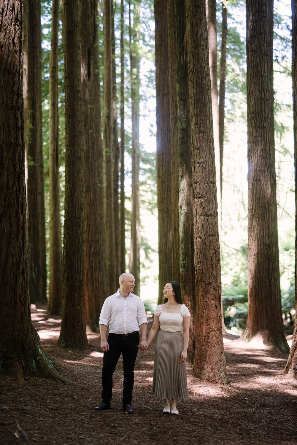 Engaged couple in the redwoods on Binns Road