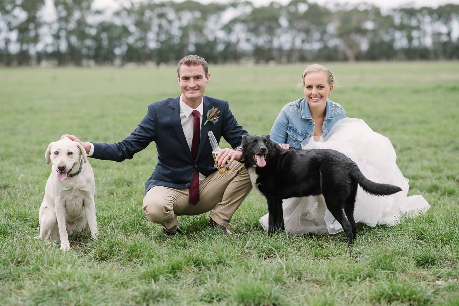 Brucknell Wedding with dogs