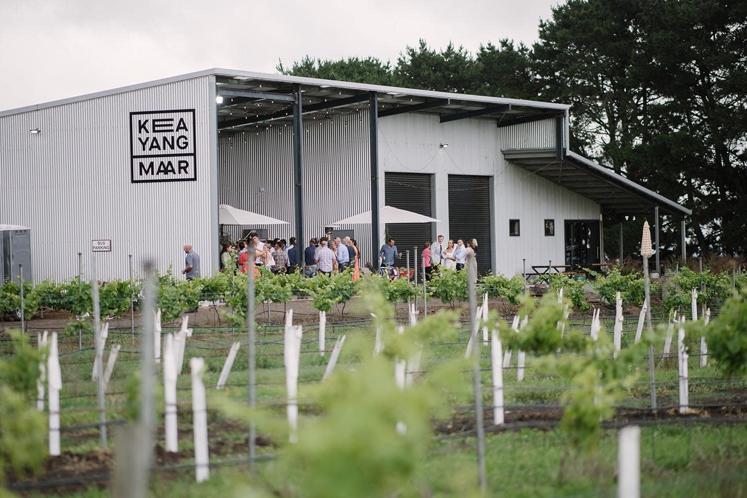 Keayang Maar Vineyard is an awesome venue located in Dixie near Camperdown.