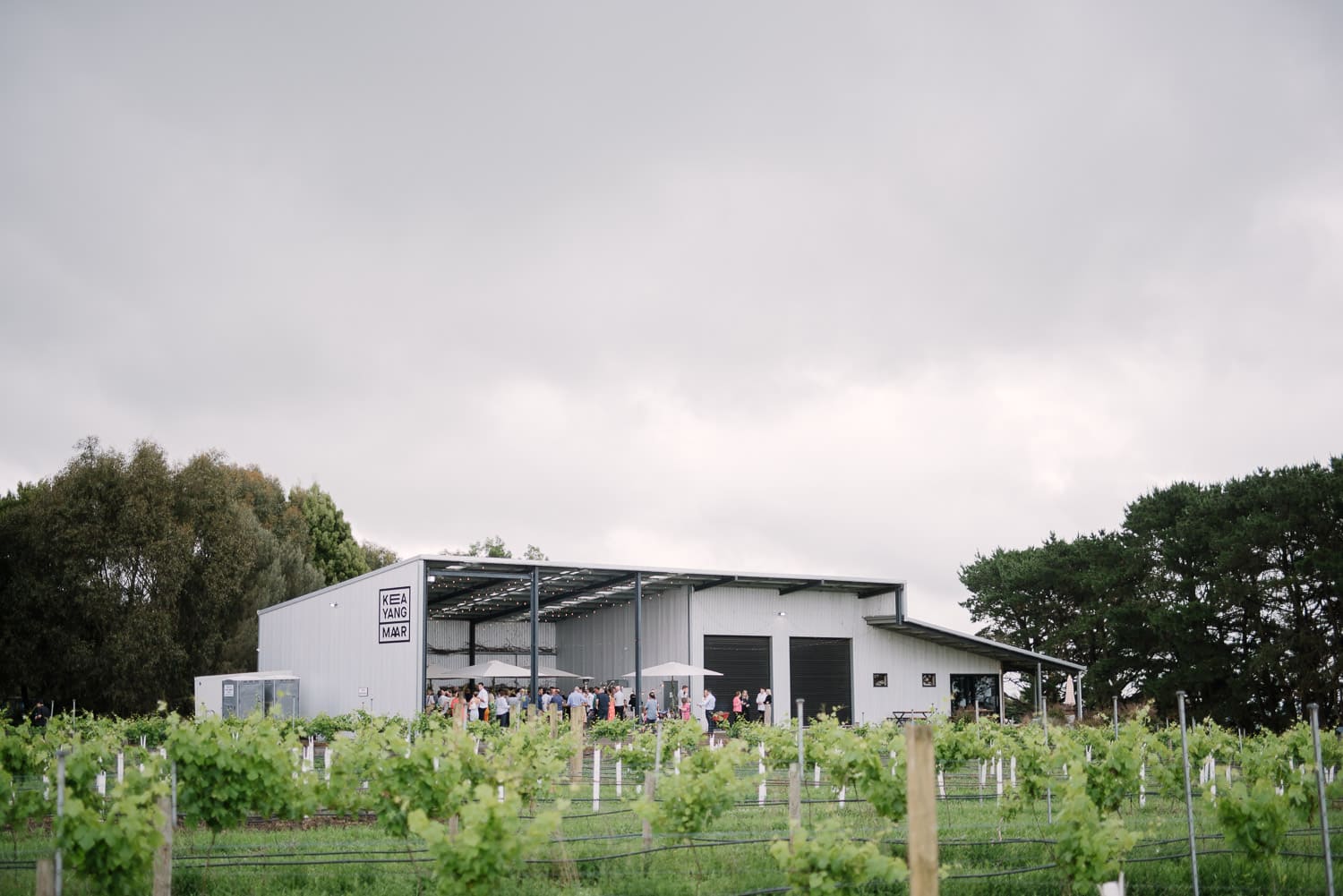 Keayang Maar Winery near Terang hosting a party