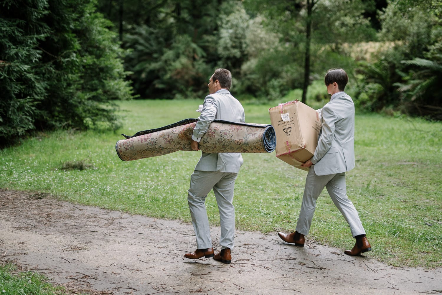 Groom preparing for wedding in the Otways Redwoods