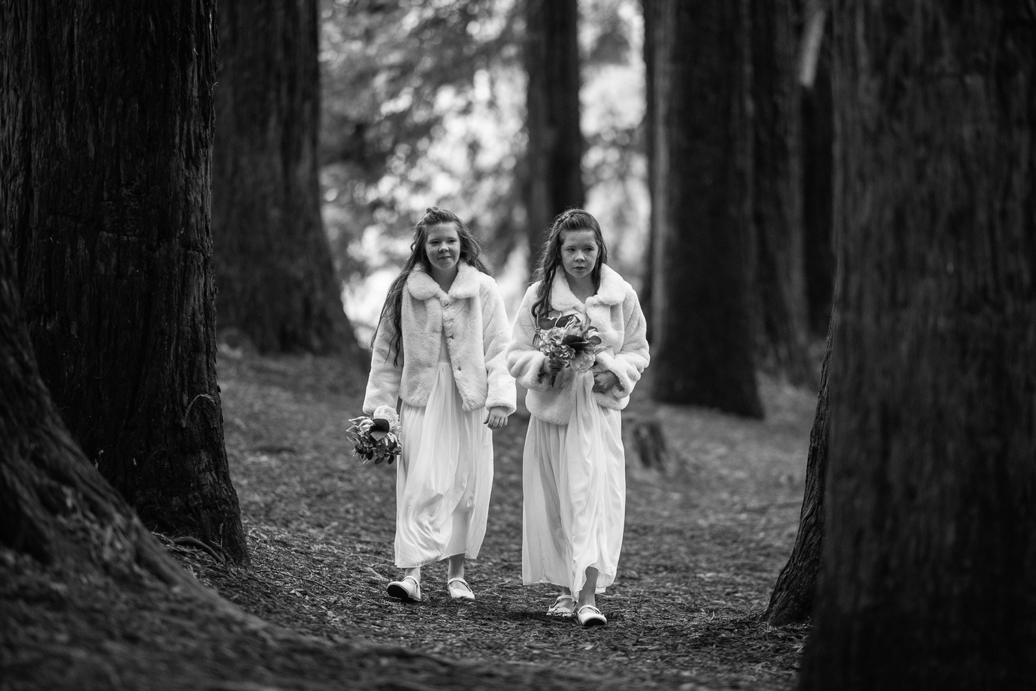 Flower girls in the redwood plantation
