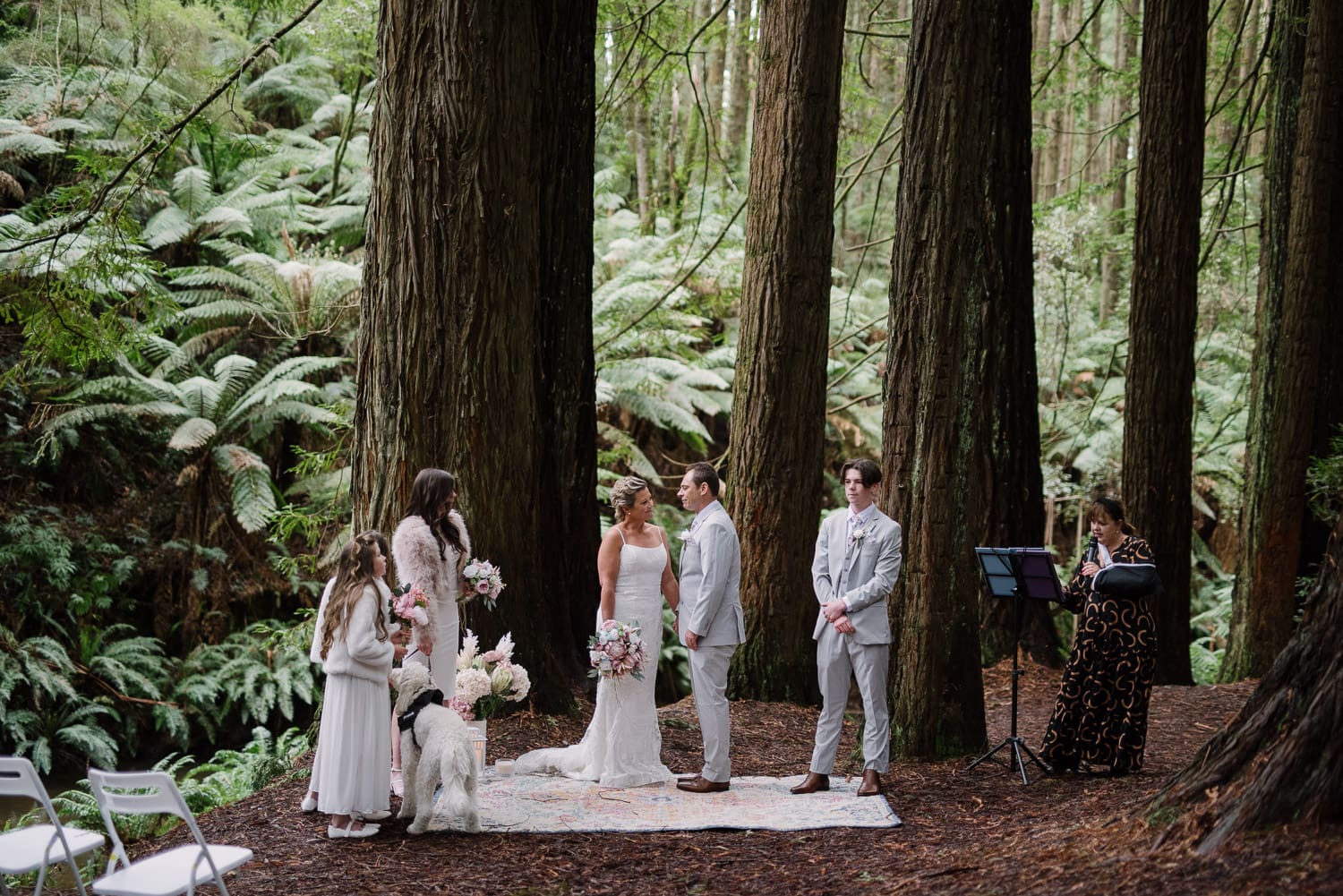 Otways redwood wedding photos