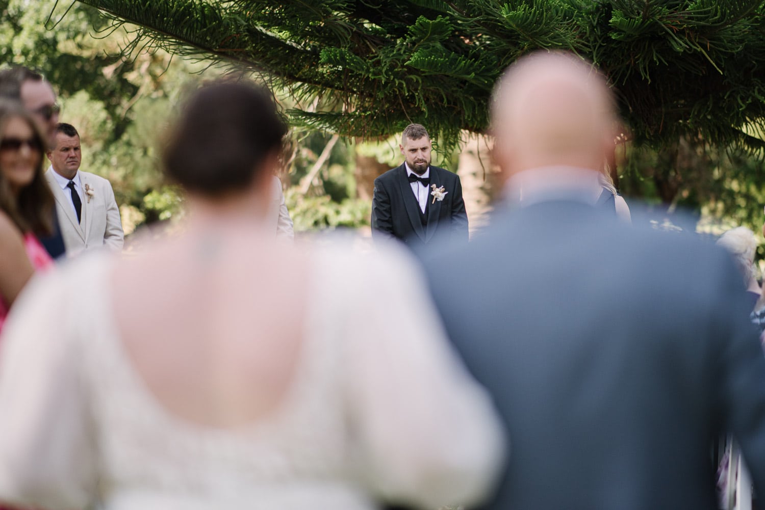 Groom in Warrnambool botanic gardens